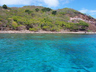 Fototapeta premium OLYMPUS DIGITAL CAMERA