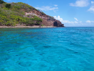 Obraz premium OLYMPUS DIGITAL CAMERA