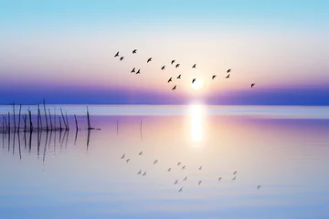 Foto op Plexiglas Lichtblauw zonsopgang boven de kalme zee