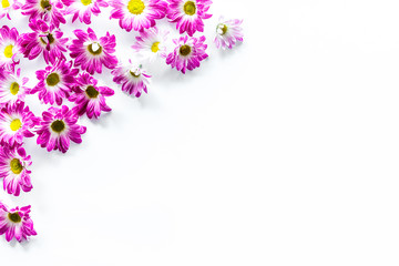 Floral pattern with pink flowers on white background top view copyspace