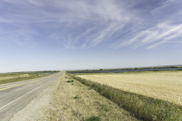 Rural Landscape Road 