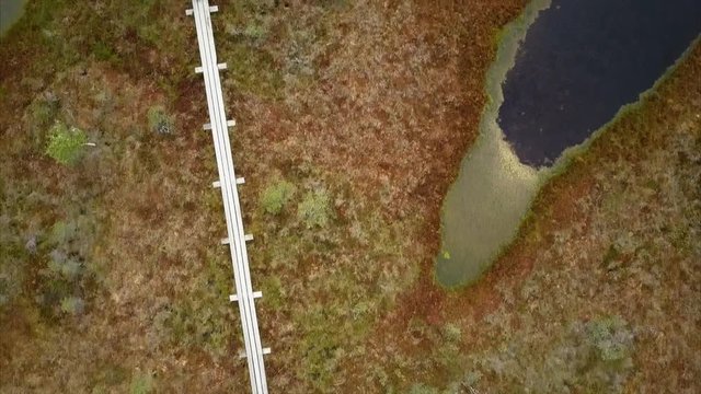 Amazing Aerial View of Kemeri National Park Peat Bog, Wooden Trail, Small Lakes, Green Forest