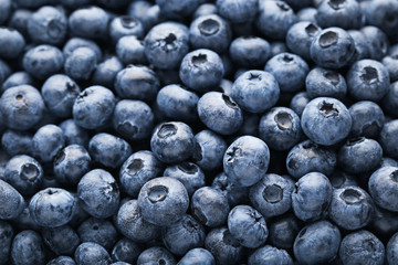 Heap of ripe and sweet blueberries background