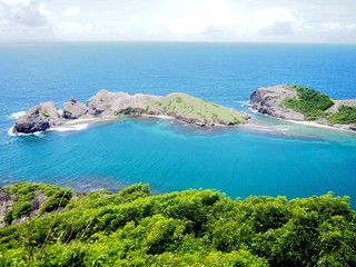 Obraz premium OLYMPUS DIGITAL CAMERA