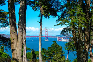 San Francisco Golden Gate Bridge view from lands end Presidio with framed trees