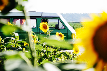 A camper van in a sunflower field