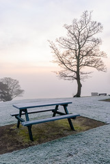 Fototapeta na wymiar Bench in a park covered with frost