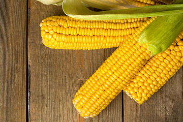 Ripe yellow sweet corn cob on a wooden table close-up