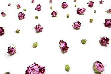 Dry flowers roses, scattered in a chaotic manner, isolated on white background.