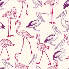 Fototapete Flamingo pattern of the cartoon pelicans and flamingos