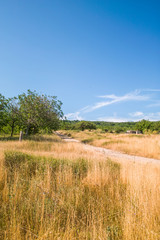Fototapeta premium Crimean landscape, Russia