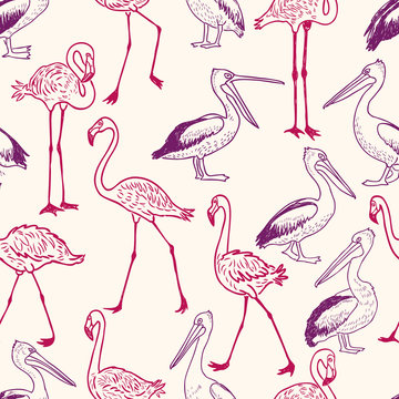 pattern of the cartoon pelicans and flamingos
