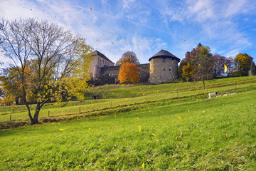 Fototapeta na wymiar Herbstblätter wirbeln durch die Luft bei Burg Greifenstein