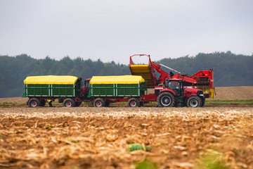 Obraz premium Kartoffelernte, moderne Landtechnik im Einsatz