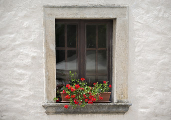 Fototapeta na wymiar Old window with flower in the summer day