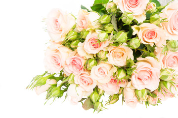 Obraz na płótnie Canvas Bouquet of pale pink blooming fresh roses with leaves and buds isolated on white background