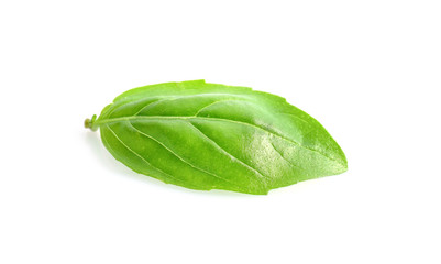 Green fresh organic basil, isolated on white