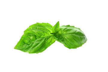 Green fresh organic basil, isolated on white