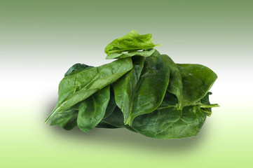 Fototapeta premium Spinach