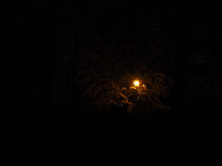 Street lamp at dusk.