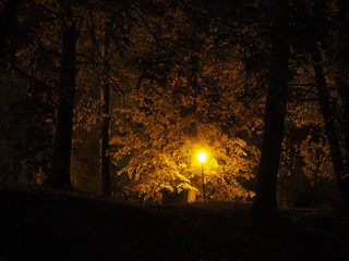 Street lamp at dusk.