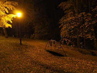 Autumn landscape at dusk.