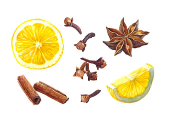 Lemon and winter spices isolated on white watercolor illustration 