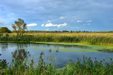 Colorful autumn landscape with a river and clouds