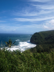 Hawaii Big Island Landscapes-10