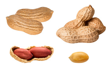 peanuts isolated on white