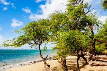Makena State Park beach, Maui island, Hawaii