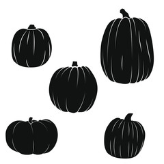 Pumpkin icons set in simple style