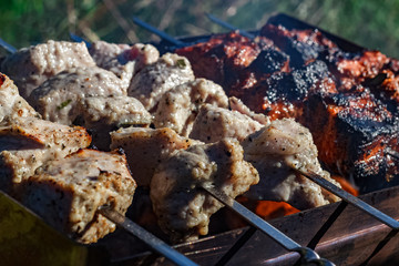 Barbecue grill meat