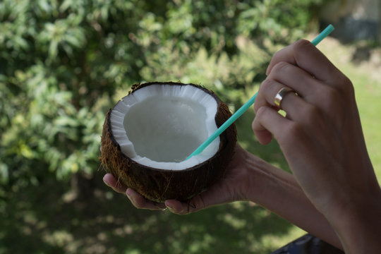 Closeup woman's hand holding coconut with green starw isolated over blurred green tropical garden background