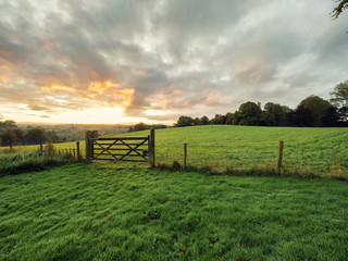  summer countryside morning,Northern Ireland