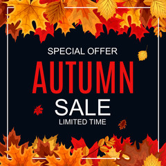 Abstract Vector Illustration Autumn Sale Background with Falling