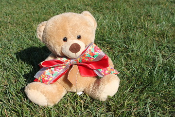  Teddy bear is sitting on a green lawn