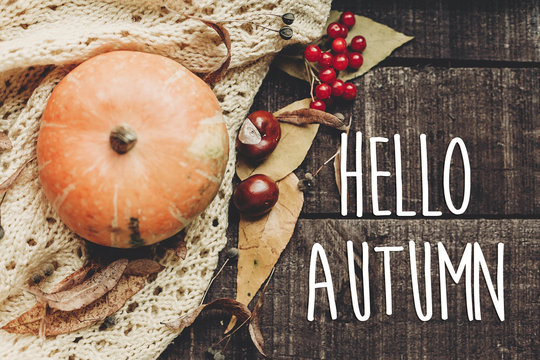 hello autumn text, greeting card. fall image flat lay. beautiful pumpkin and leaves and berries on sweater on rustic wooden background, top view. cozy autumn mood