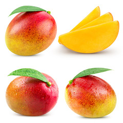 mango fruit isolated