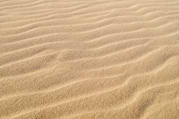 Fototapeta na wymiar Sand dune background