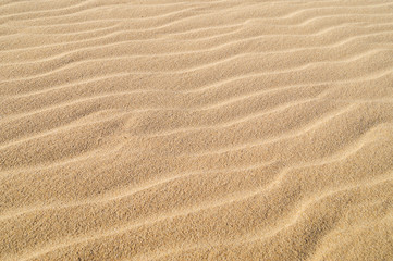 Sand dune background
