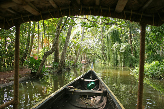 Punted by canoe through the jungle on the Kerala backwaters, India