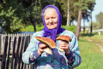 Old woman with mushrooms in her hands. Grandmother gathers mushrooms in the village. © Кристина Тримайлова