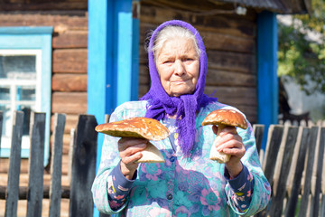 Old woman with mushrooms in her hands. Grandmother gathers mushrooms in the village.