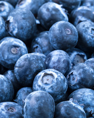 Ripe Blueberry background