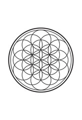 Simple Spiritual Flower of Life Black and White Illustration 1