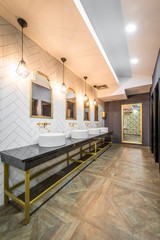 Luxuriously furnished public toilet