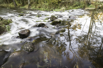 Autumn brook in the forest