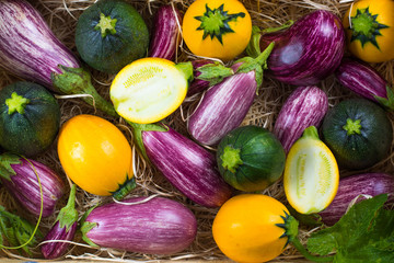 Colorful background Fresh organic vegetables background, wallpaper - round courgette, small eggplants, diet concept, Italian and French food, healthy food.