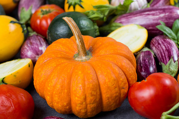 Fresh organic vegetables background, wallpaper - orange pumpkin, round courgette, small eggplants, diet concept, Italian and French food, healthy food.